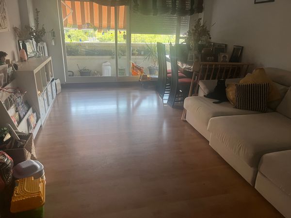 Andrea's house