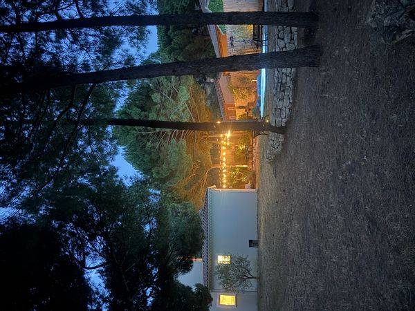 Alexandres hus