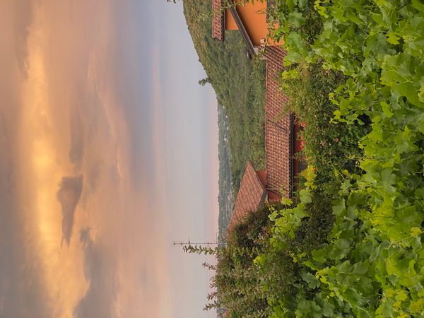 giuliaina kuća