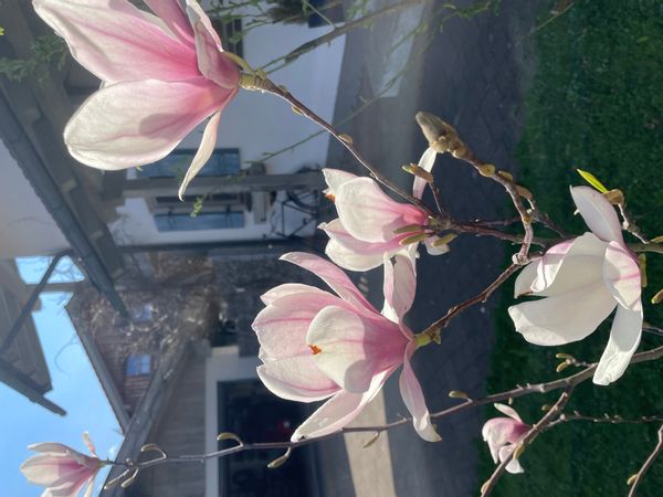 Wunderschönes Haus mit großem Garten in den bayerischen Voralpen