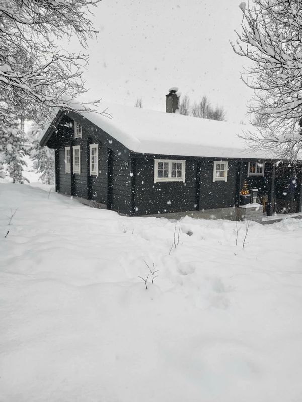 Romslig og koselig hytte  med sengeplass til 9 stk på vakre Bjorli.