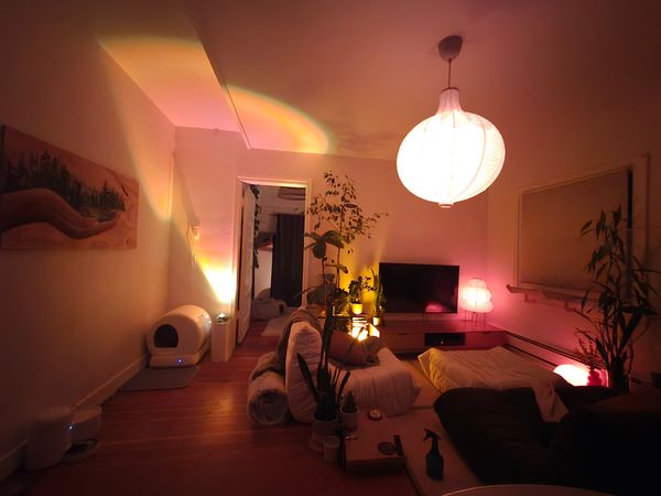 Veronicas hus