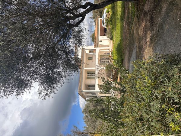 Renate's house