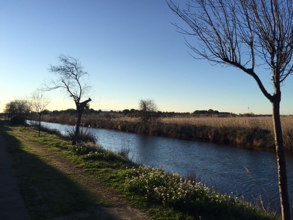 La maison de Cyrille et Anaïs