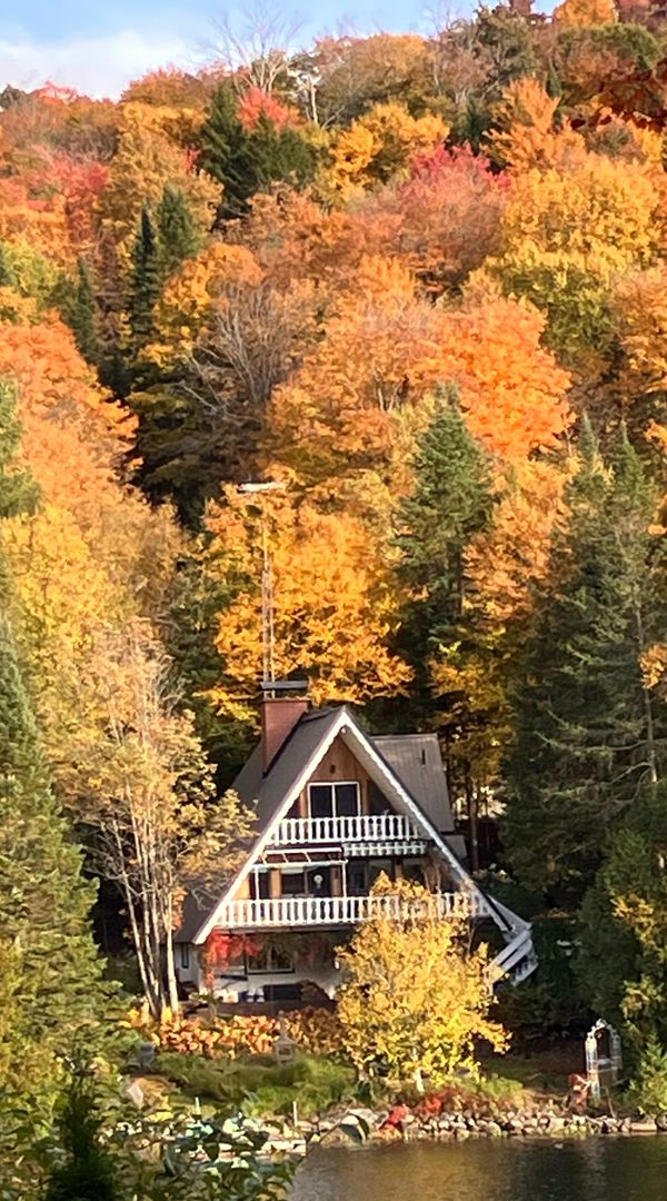 Au bord d’un lac à une heure de Montréal,Québec, Canada. La nature plein la vie.