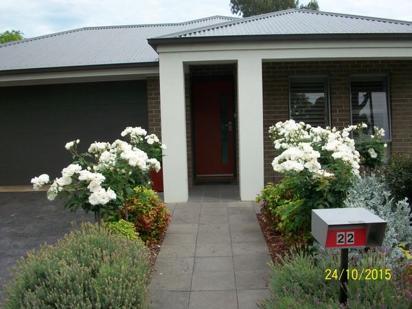 Bev and Lester's home