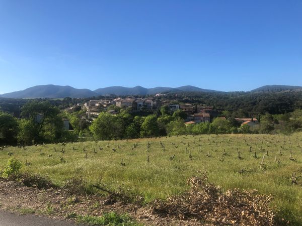 Notre maison de vacances familiale au cœur d'un petit village occitan entouré de vignes