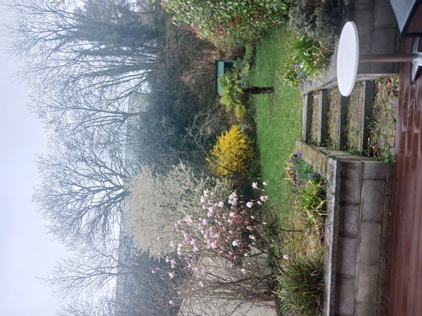 La maison de Marie C'est une maison au coeur de Léhon (maintenant rattaché à Dinan)), tout près de l'abbaye, du vieux château et de la Rance (la rivière). Il y a 3 commerces (boulangerie, boucherie, boutique de vêtements).