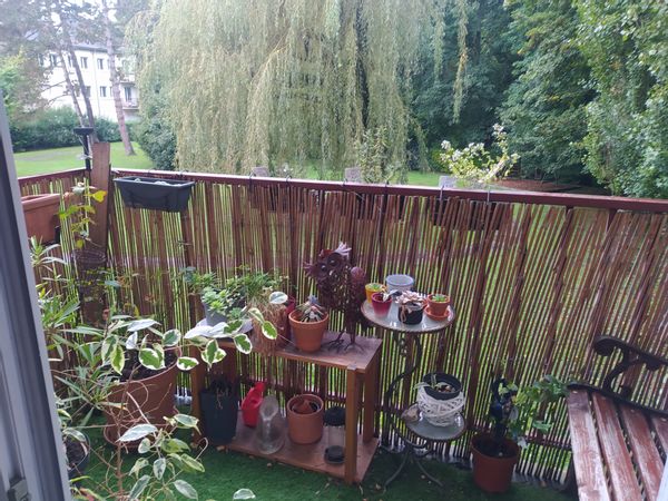 L'appartement de Claire