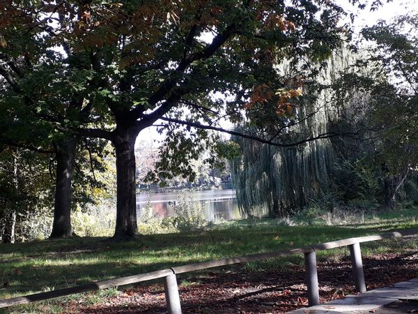 Clara s house on the lake