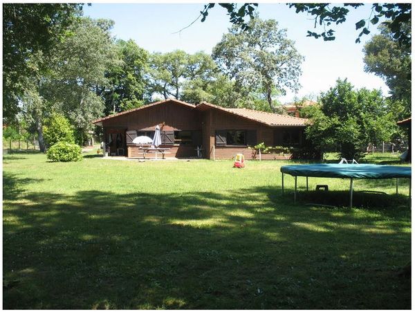 Sous les chênes centenaires, contre la forêt