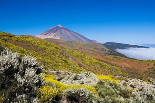 La maison de Persida