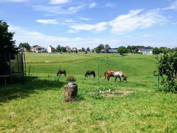 une chambre en hospitalité dans un havre de paix