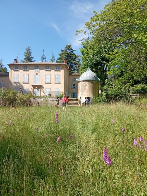 la maison du chat bleu