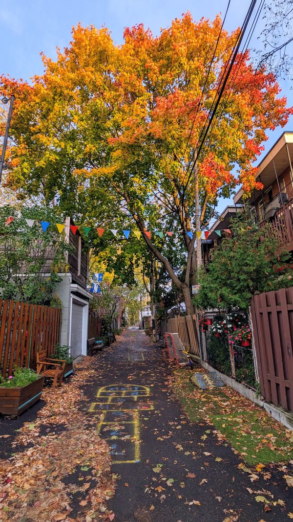 Bienvenue chez vous! Au coeur de Villeray - métros et toutes commodités
