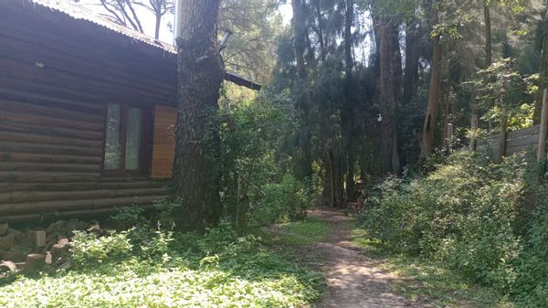 My home