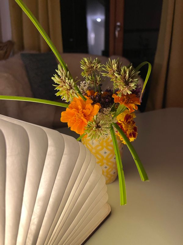 Cocon au cœur de La Réole