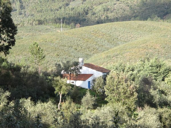 Casa em Rabaça