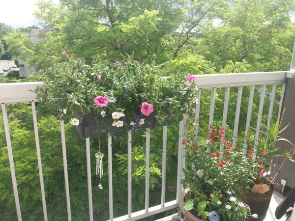 Joli appartement dans les Yvelines, proche Versailles et Paris