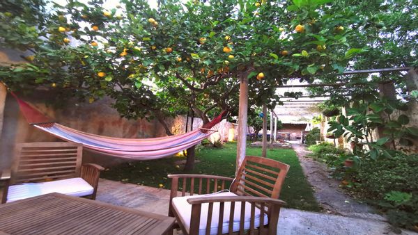 Olga y Marta's house