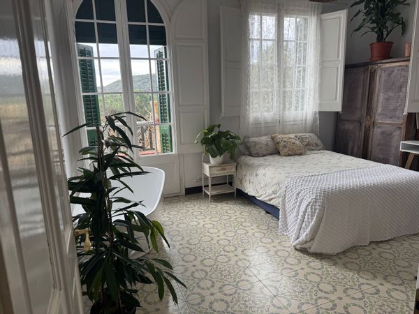 a cozy home for plant lovers in Barcelona