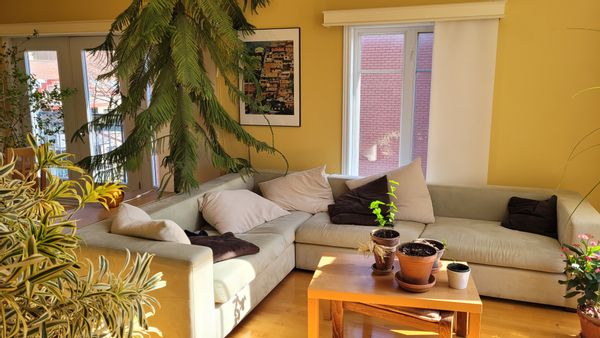 Oasis paisible et ensoleillé au centre-ville de Montréal, à 5 minutes à pied du Vieux-Montréal.