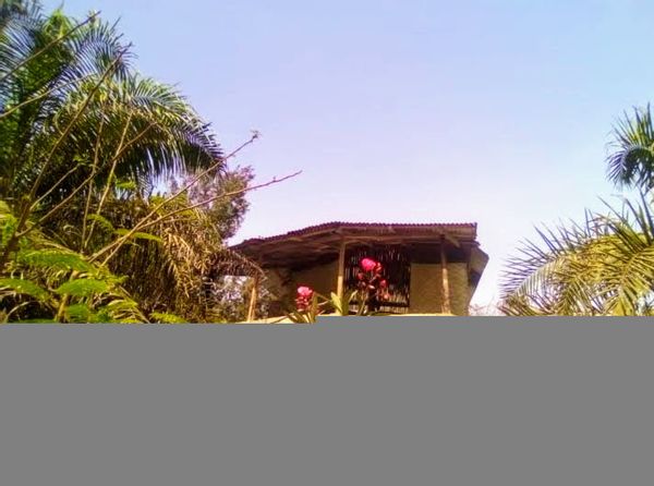 Bernadette's house