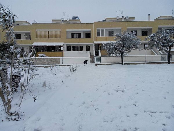 La maison de Barbara
