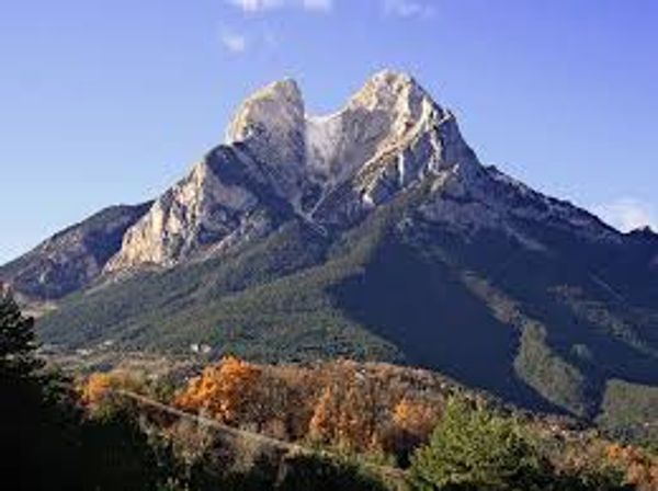ANTONI's house
