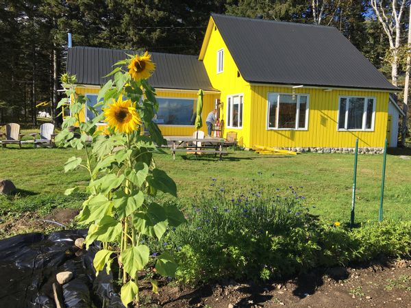 la  maison jaune ,un coin de paradis
