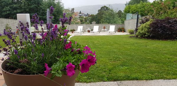 La maison de María Luisa