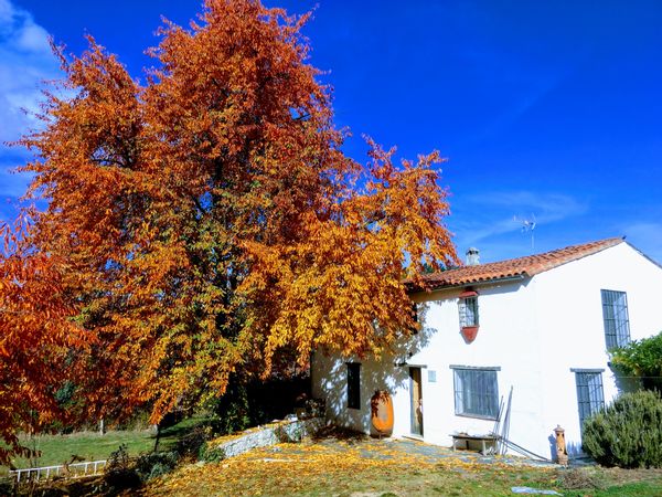 Casa em Fuenteheridos