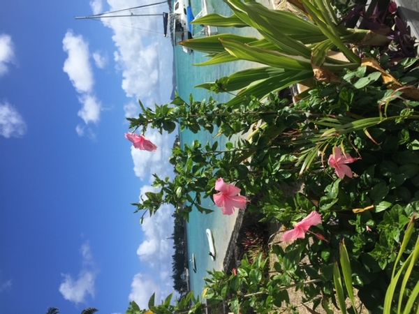 La maison de Laurence et joel