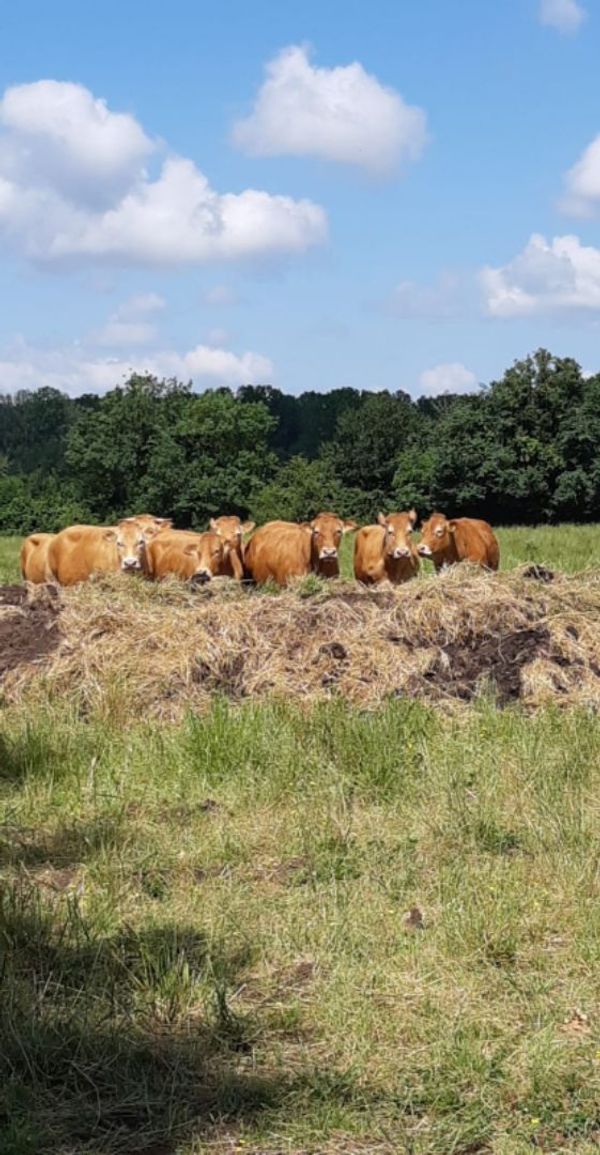 Petite maison à la campagne Children and Pet Friendly