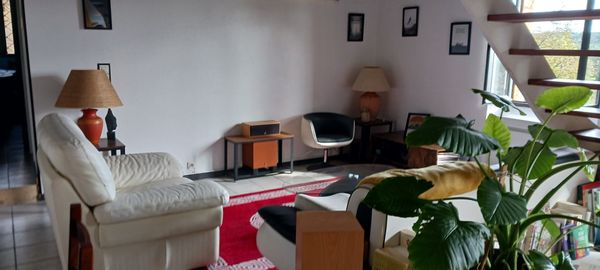 Maison de David, Eve, Stan... et le chat wasabi !