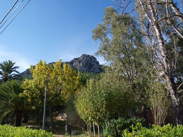 Casa di Marta