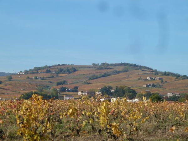 Casa di Carine