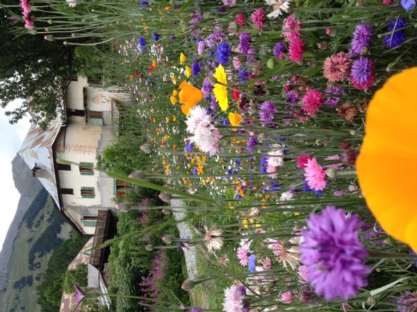 La Ferme de Béatrice