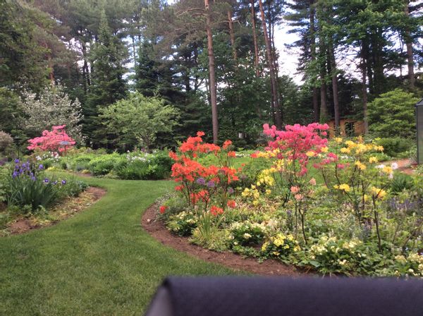 Québec witz a spectaculaire garden for Switzerland Alps France