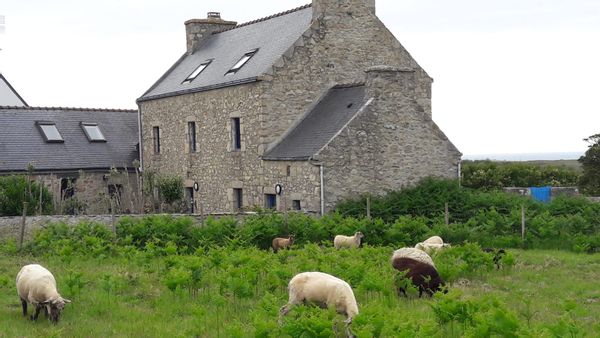 La maison de Brigitte