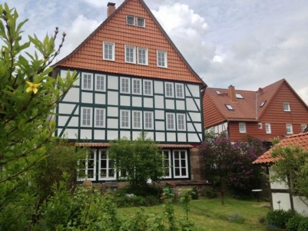 Cosy timbered house with garden, hills, forest and lakes around