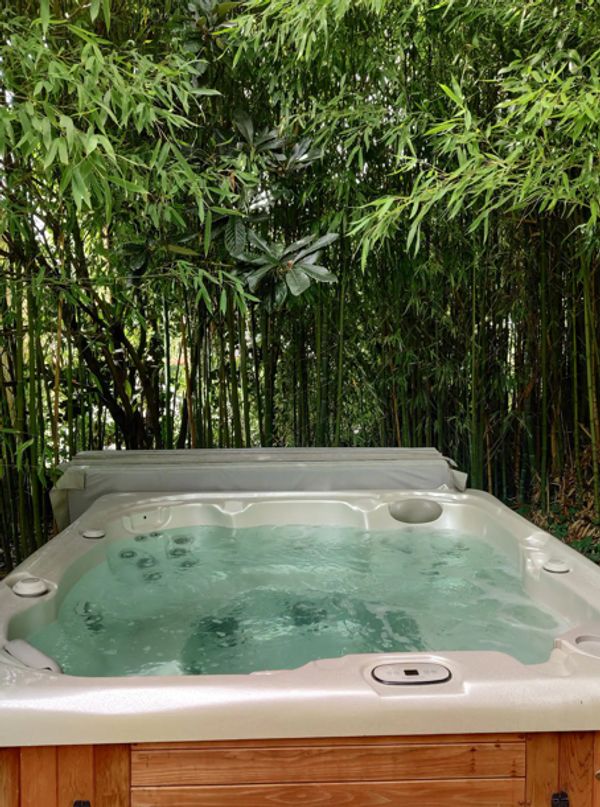 CHAMBRE TOUT CONFORT SPA ET JARDIN