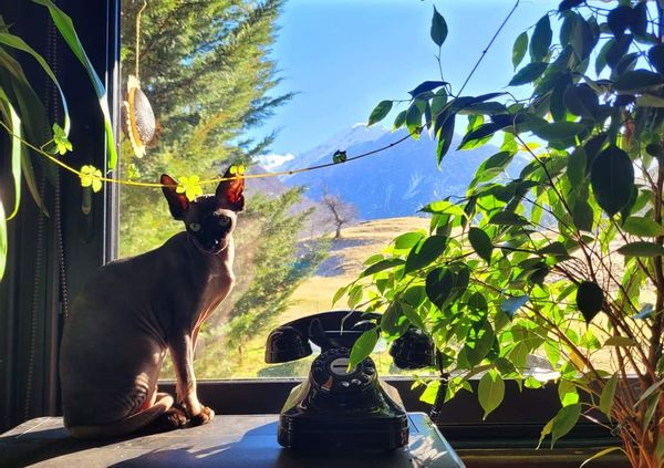 Maison à la montagne, en Ariège, disponible du 21 au 26 Avril 2025