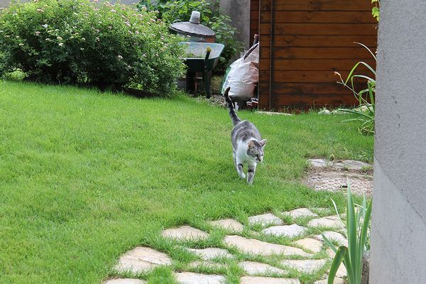 maison à Rillieux-la-Pape, France