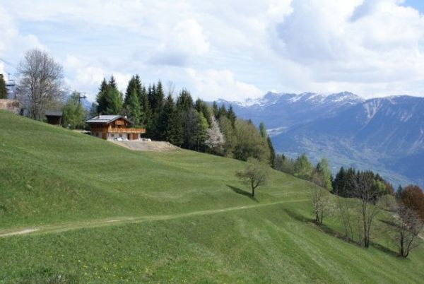 RDC dans chalet de montagne en Savoie Valmorel