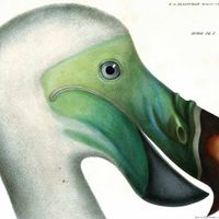 La maison de Véronique