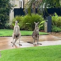 Casa di Susan & Mark