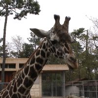 Havre de paix dans une maison tout confort