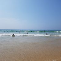 Un havre de paix dans un écrin de verdure