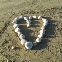 Mer et campagne en Finistère